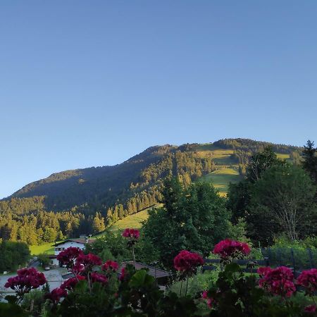 Appartement Unterbergblick Кёссен Экстерьер фото